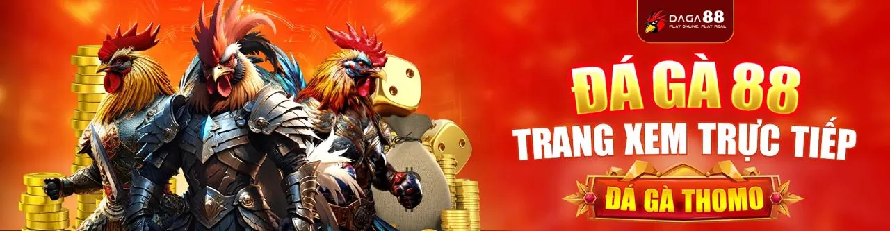 Sân vận động rực rỡ ánh đèn, biểu tượng cho cá cược thể thao 42vn win